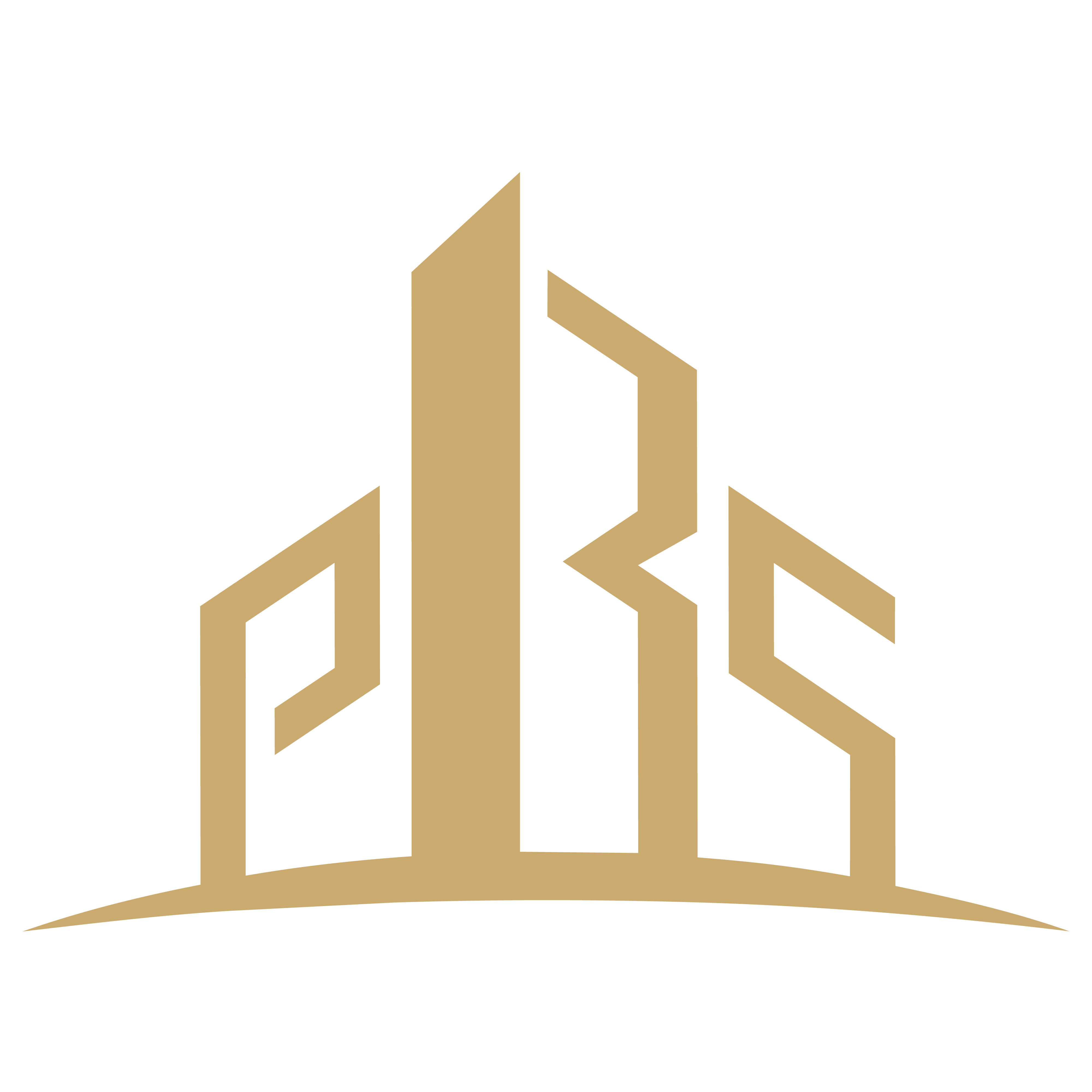 PBS Logo - Primary Color